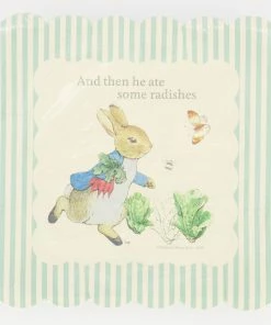 Meri Meri 16 Pack Blue Peter Rabbit Paper Plates